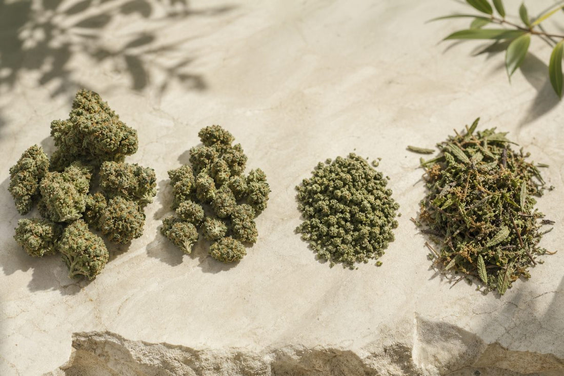 Vier CBD Blütenformen mit ganzen Buds, kleinen Buds, Microbuds und Trim im Vergleich