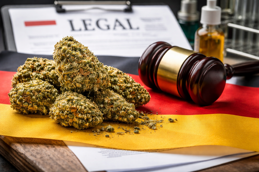 CBD Blüten vor deutschem Rechtshintergrund mit Dokument und Richterhammer