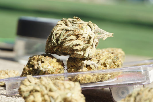 a plastic container filled with marijuana buds sitting on top of a table