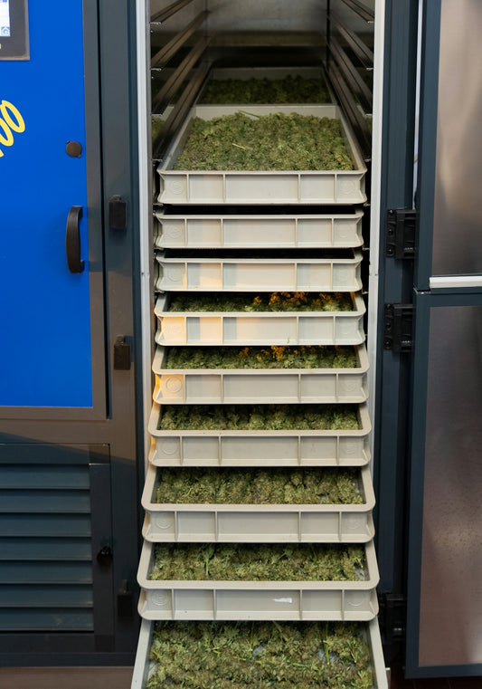 a refrigerator filled with lots of green stuff