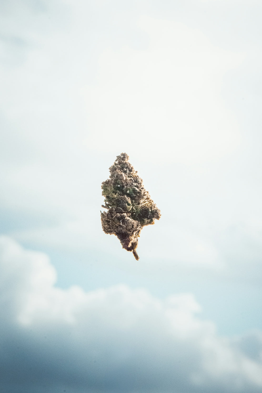 A marijuana bud floats against the cloudy sky.
