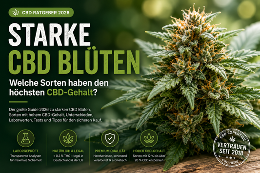 Starke CBD Blüten – Welche Sorten haben den höchsten CBD-Gehalt?