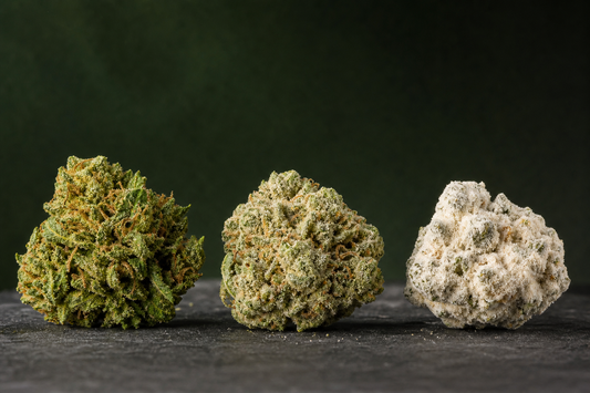 Drei CBD-Blütenformate im visuellen Vergleich: Naturblüte, veredelte Blüte und weiß beschichtete Ice-Rock-Form