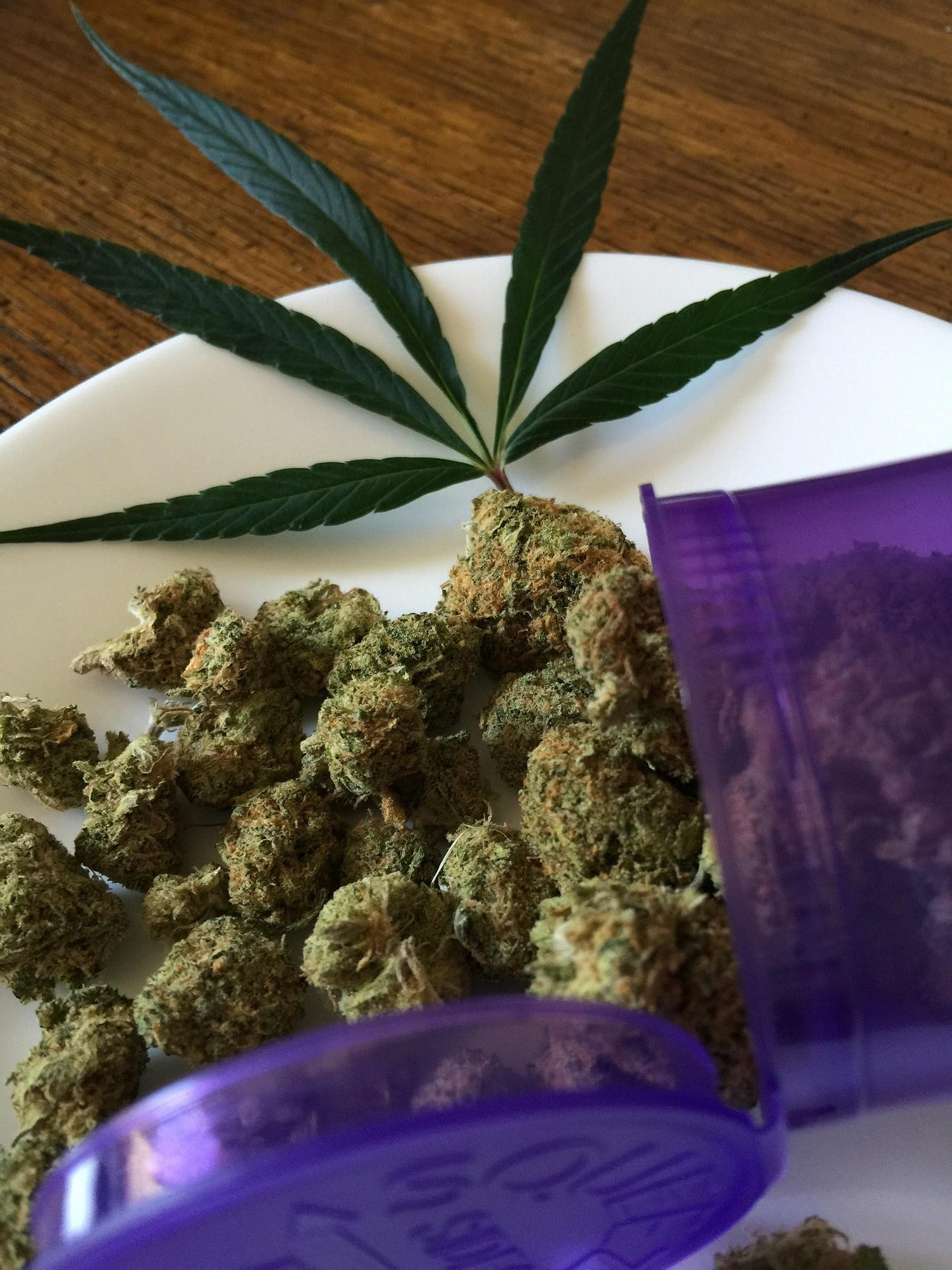 CBD, CBG, CBN & 10-OH-HHC Sonderposten