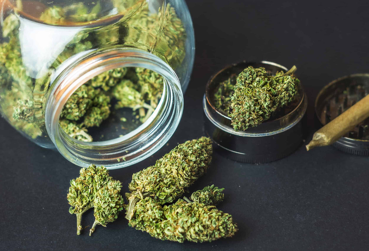 CBN Blüten - CBD Hexe Onlinehandel