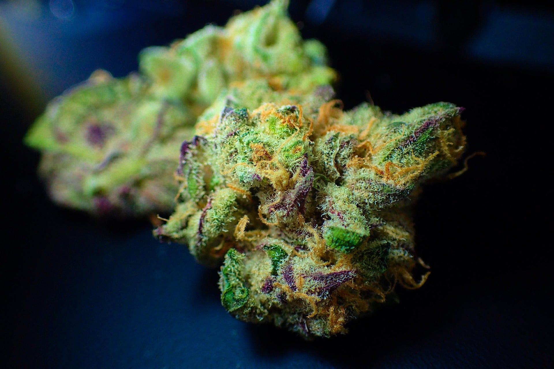 H3 Blüten Superior Blend: Legale Potenz mit maximaler THC-ähnlicher Wirkung