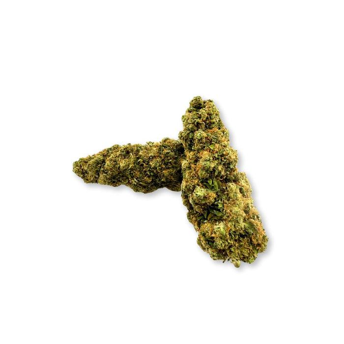 Godzilla CBD Blüten 16% große Buds – CBD Hexe kaufen