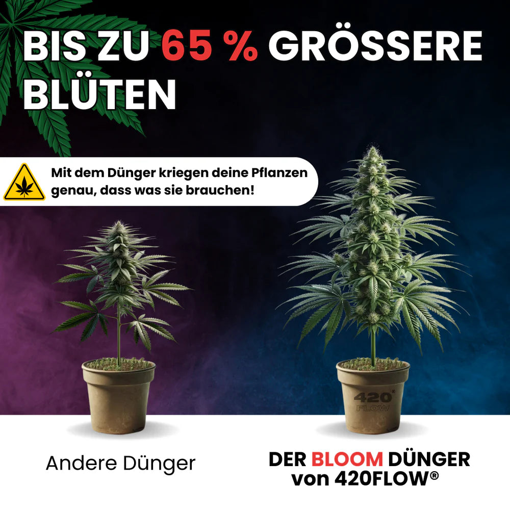 Der Bloom Dünger 250ml
