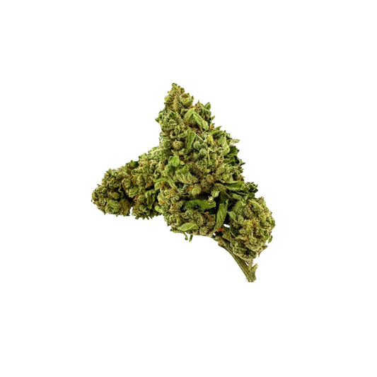 PHC Blüten Amnesia Haze | 30% PHC