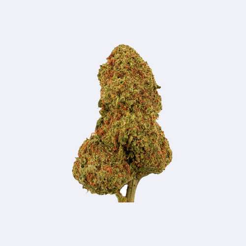 Produktbild von Candy Kush Premium THCA Blüten | 30% THCA