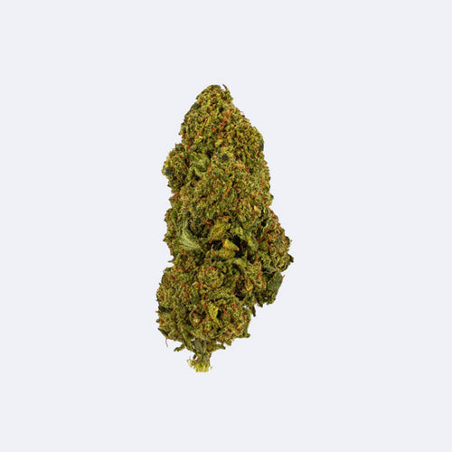 Produktbild von Caramel Candy Premium THCA Blüten | 30% THCA