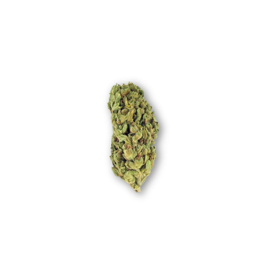 Jack Herer CBD Blüten 40% Nahaufnahme – CBD Hexe