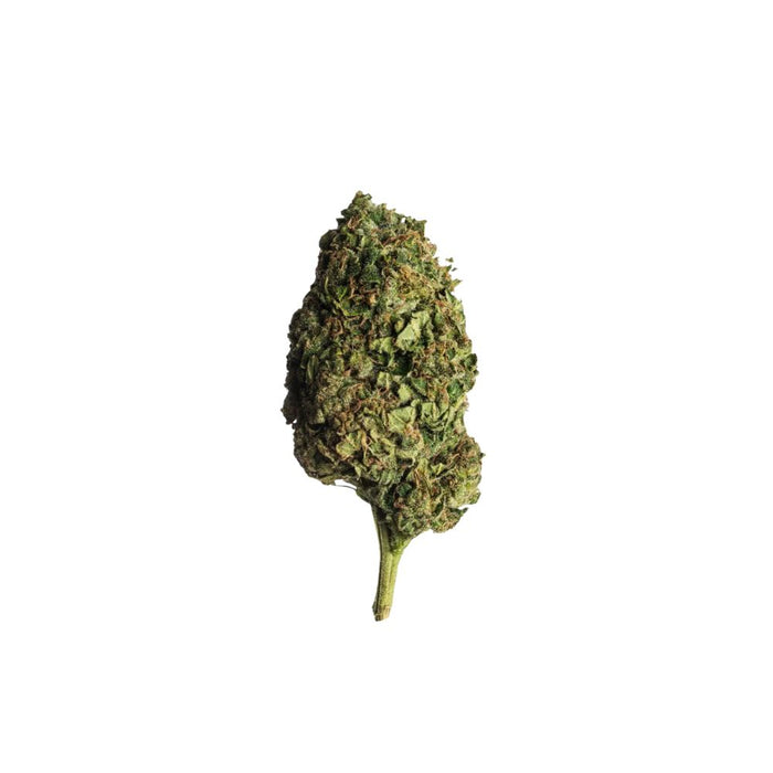 Lemon Haze | Sativa Premium Blüten | 40% H3 Superior Blend | inkl. Integra Boost Pack