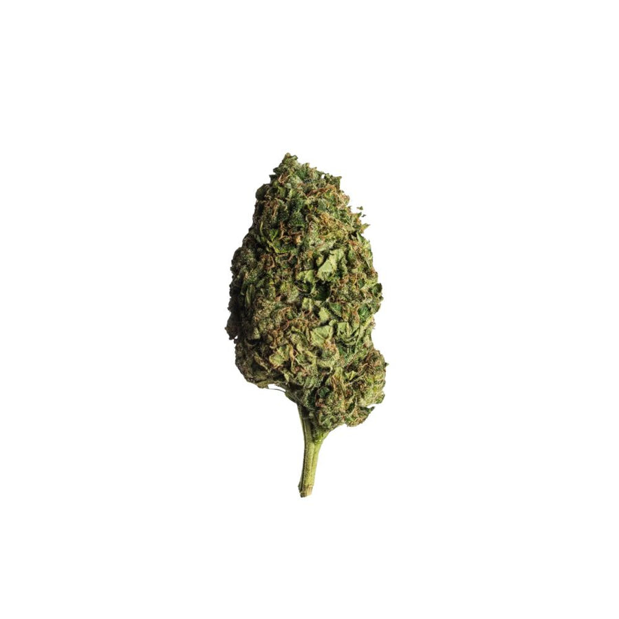 Lemon Haze | Sativa Premium Blüten | 40% H3 Superior Blend | inkl. Integra Boost Pack