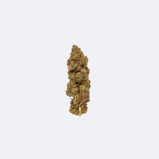 PHCP Blüten Lemon Haze | 20% PHCP