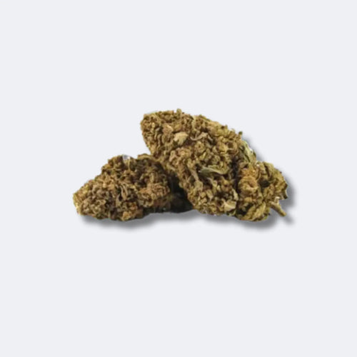 Lemon Haze | 40% 10-OH-HHC Blüten