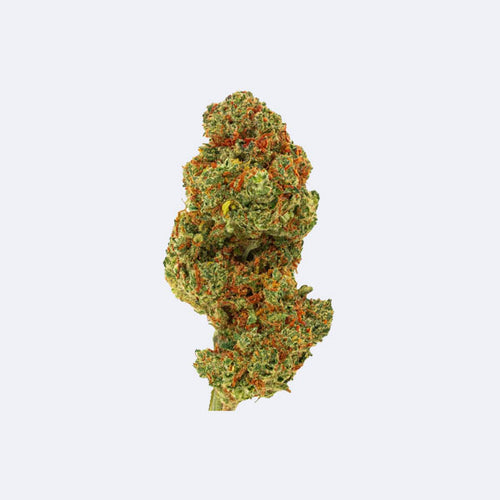 Produktbild von Limoncello Premium THCA Blüten | 30% THCA