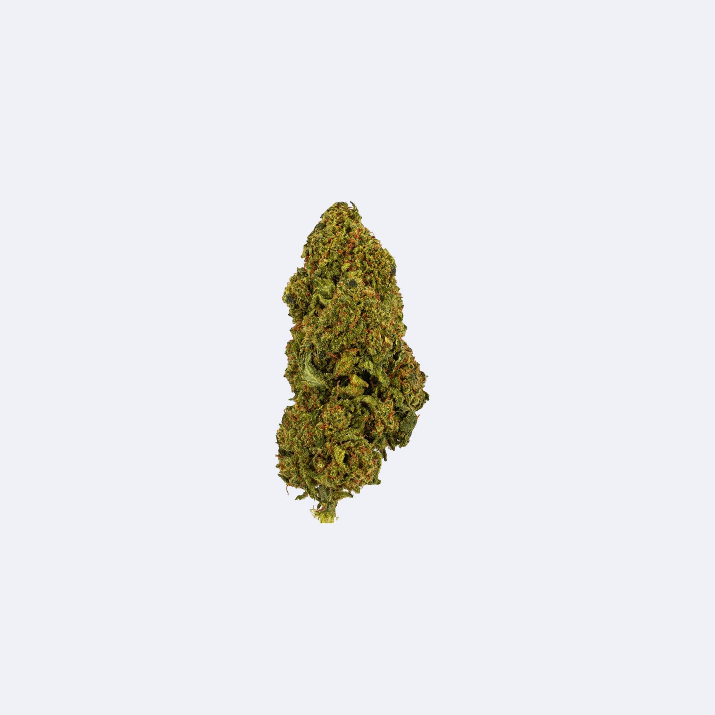 PHC Blüten Mango Haze | 30% PHC