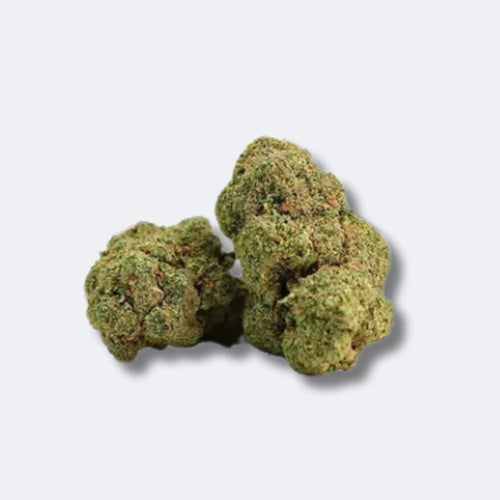Produktbild von Mango Kush CBD Blüten | 25% CBD
