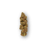 PHCP Blüten Lemon Haze | 20% PHCP | inkl. Integra Boost Pack