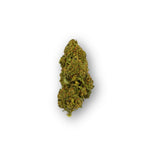 PHC Blüten Mango Haze | 30% PHC | inkl. Integra Boost Pack