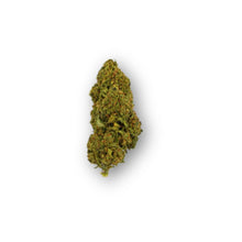 PHC Blüten Mango Haze | 30% PHC | inkl. Integra Boost Pack