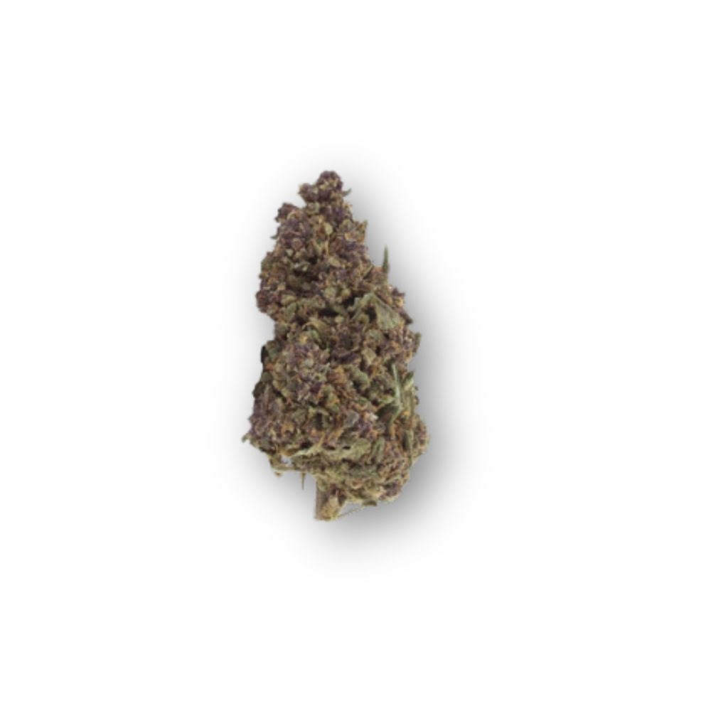 PHC Blüten Purple Haze | 30% PHC