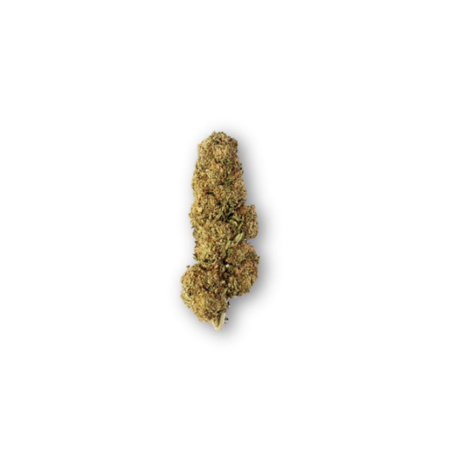 Strawberry CBD Blüten 16% – CBD Hexe® kaufen
