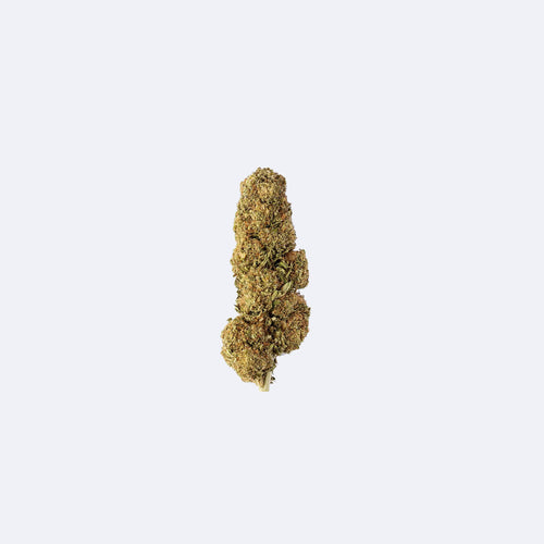 Produktbild von Strawberry Premium CBD flowers | 16% CBD