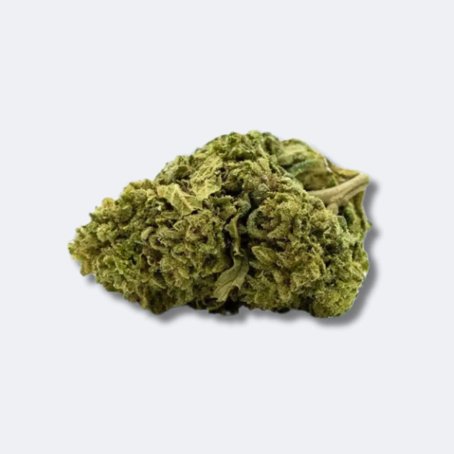 Super Lemon Haze CBD Blüten | 15% CBD