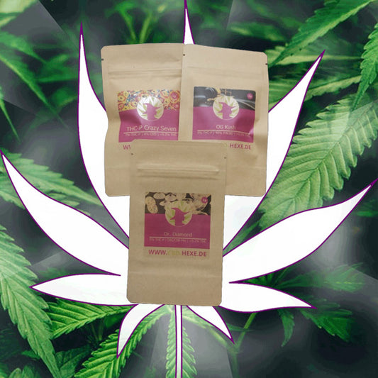 😈 Neu! 3 Sorten THC-P Blüten Testpaket 😈
