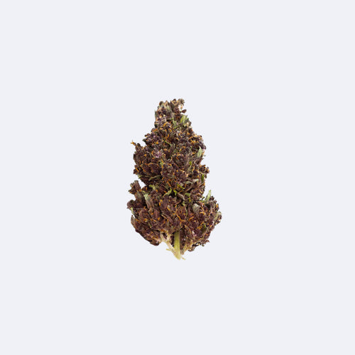 Produktbild von PHCP Blüten URU Purple | 20% PHCP