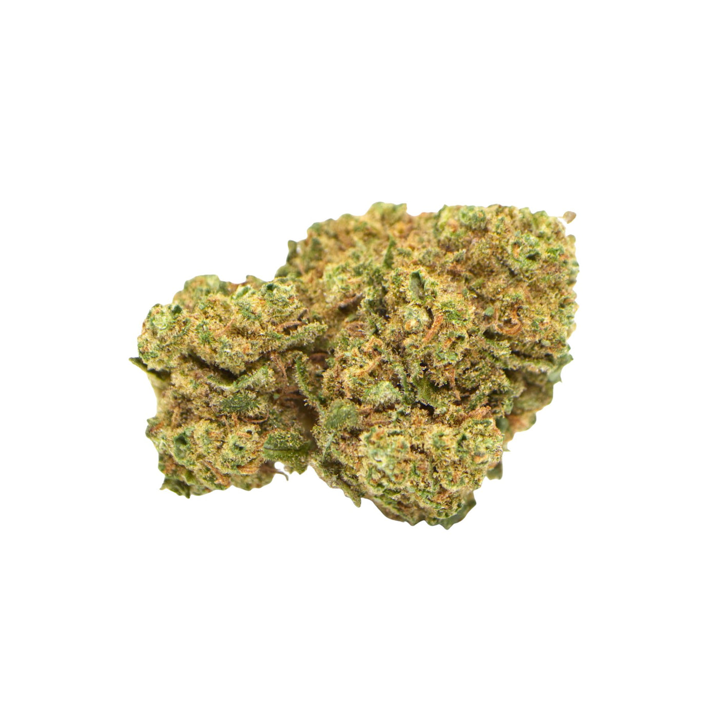Amnesia CBD Blüten 10% CBD – frisch & würzig bei CBD Hexe