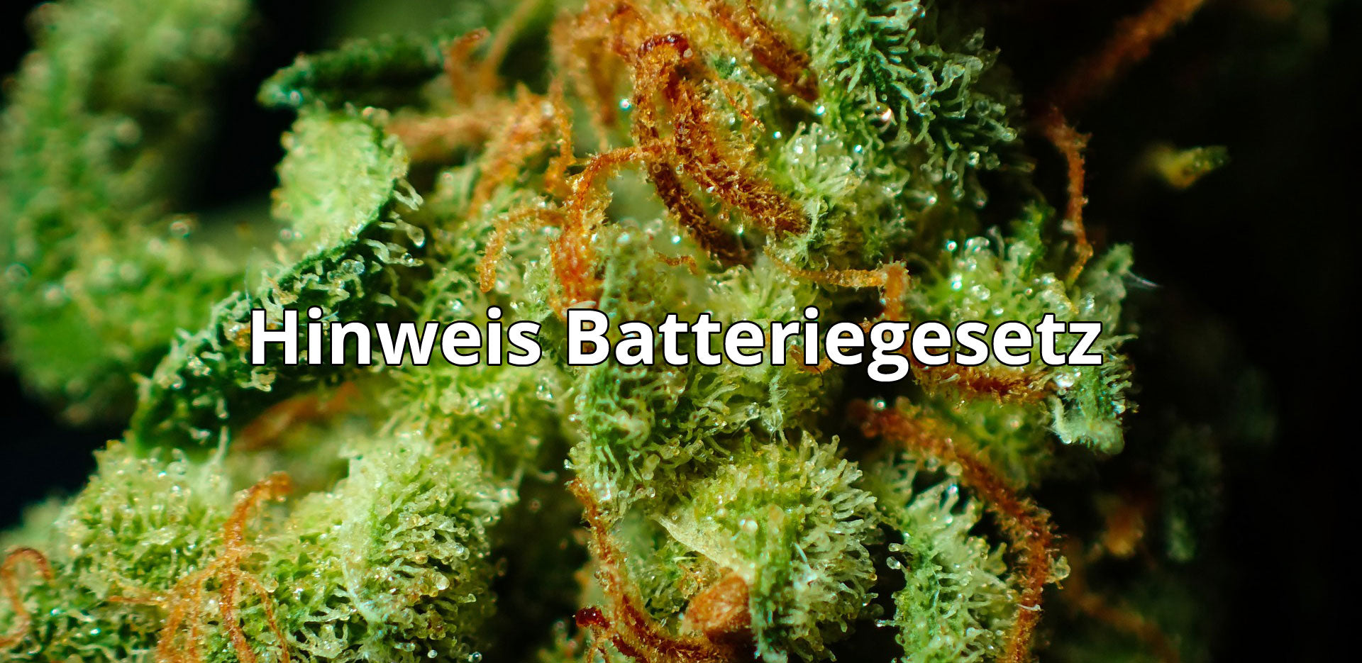 Umweltschutz ist wichtig
