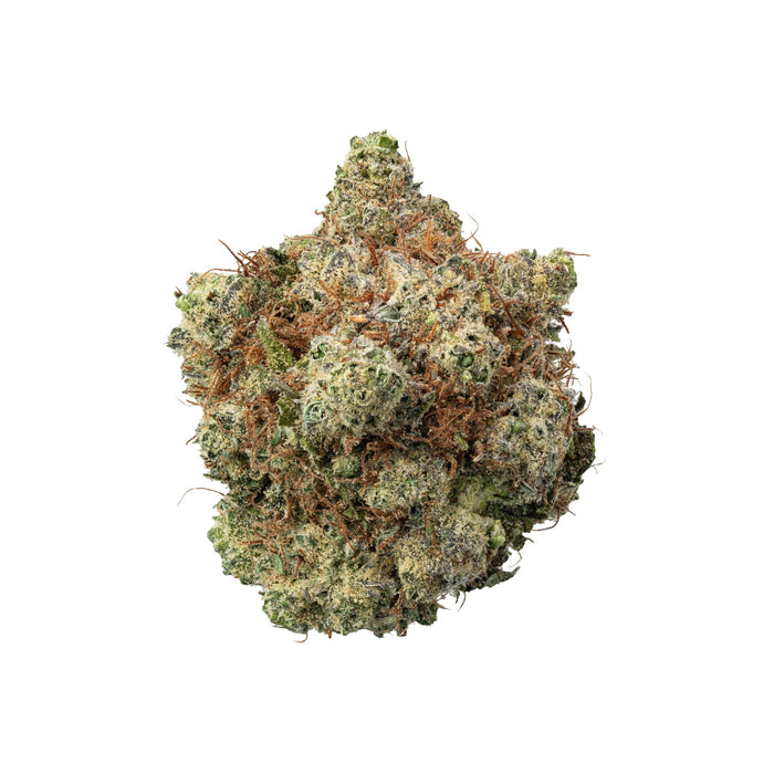 Bubble Gum CBD Blüten 8% CBD – online kaufen bei CBD Hexe