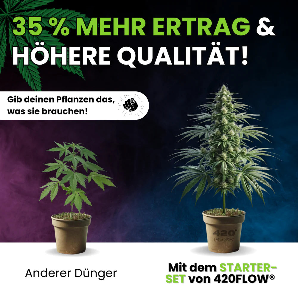 Das Starter Set Grow, Bloom & Booster 500ml