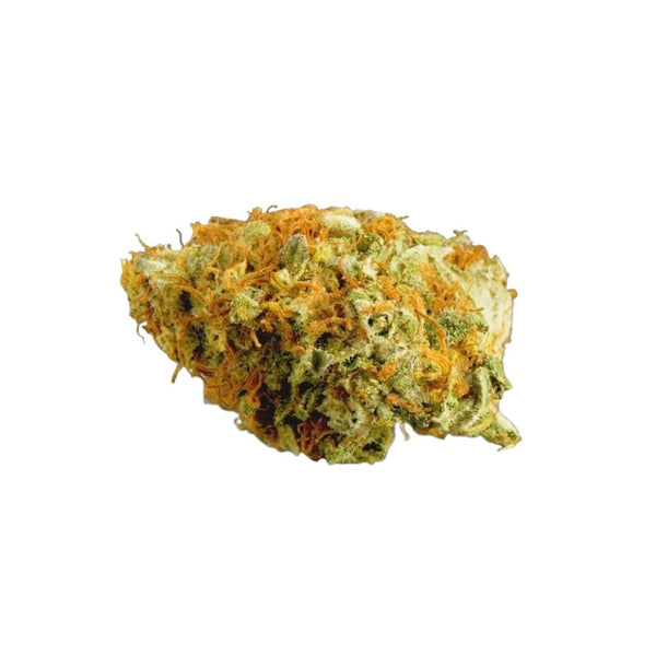 Orange Kush 13 % CBG CBG Blüten bei CBD Hexe