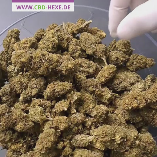 Unsere neuen THC-P Blüten sind da. THCP Crazy Seven Blüten.