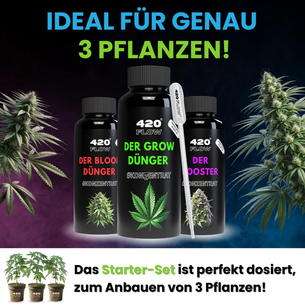 Das Starter Set Grow, Bloom & Booster 500ml